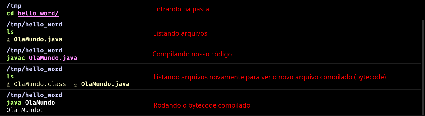 Screenshot dos comandos no terminal